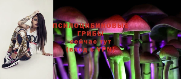 кокс Алексеевка