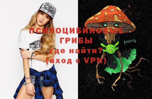 a pvp Няндома