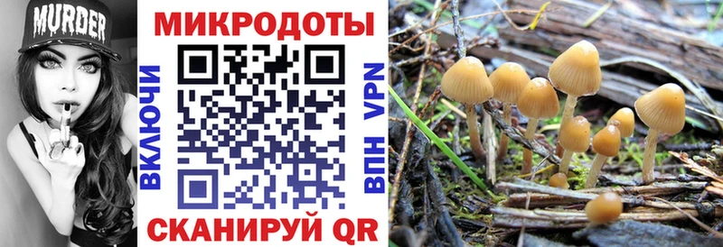 как найти закладки  Первоуральск  блэк спрут как войти  Псилоцибиновые грибы мицелий 